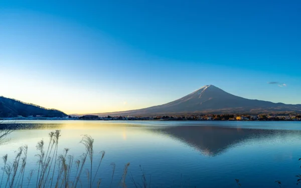 ポルトガル・ポルト旧市街を歩く。世界遺産の街の魅力ヨーロッパ